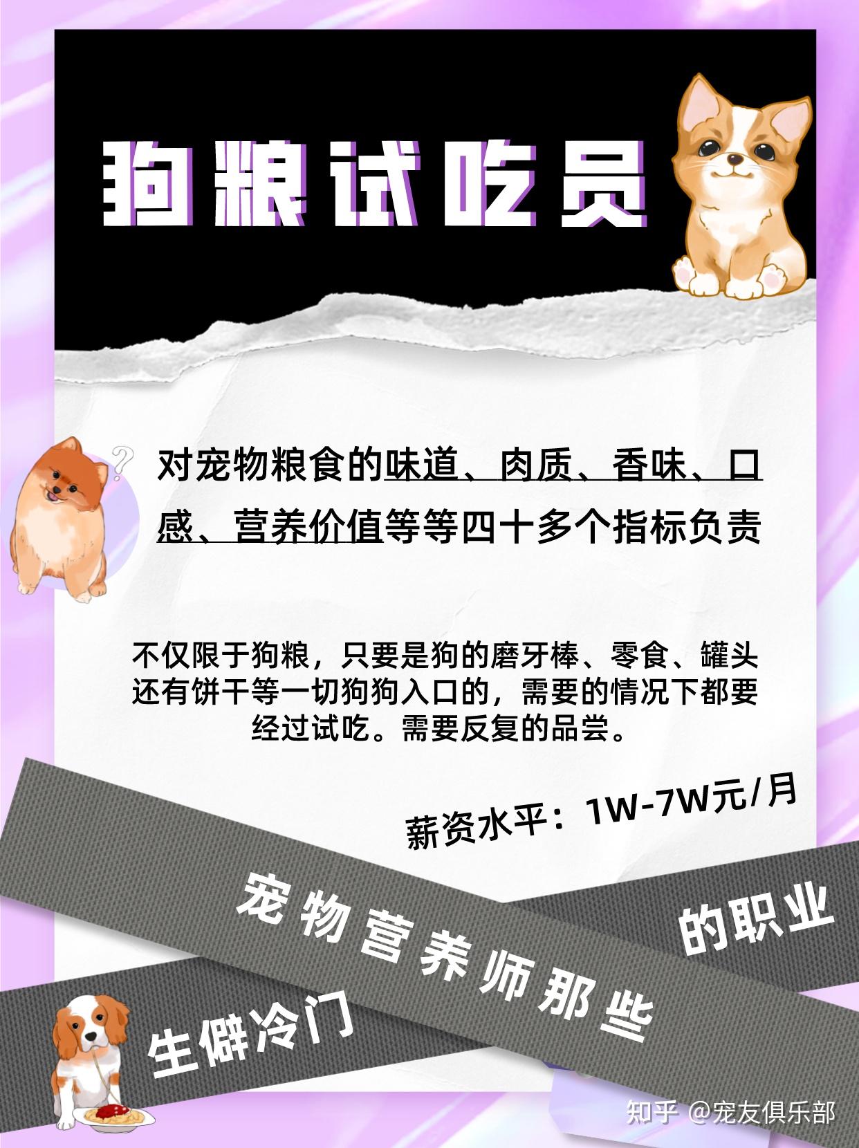 宠物等级提升与玩家魅力的关系​