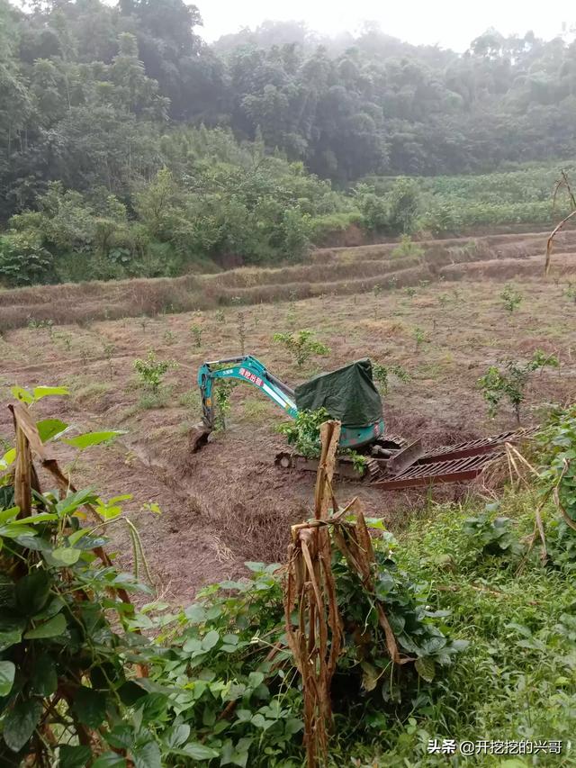 挖掘机租赁合同范本免费下载-挖掘机出租广告？