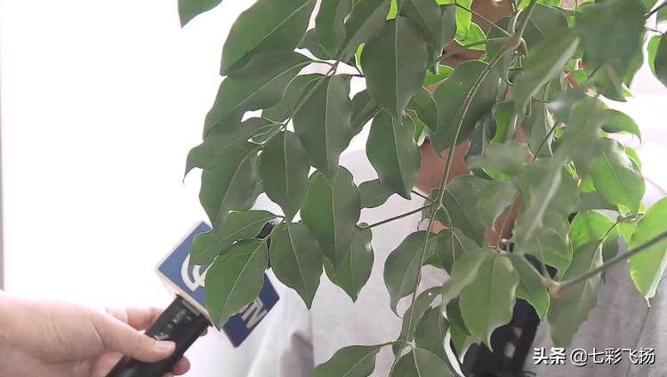 无人驾驶自卸卡车-上海77岁老人被撞身亡，5年了找不到家属，被AI破案，为何？
