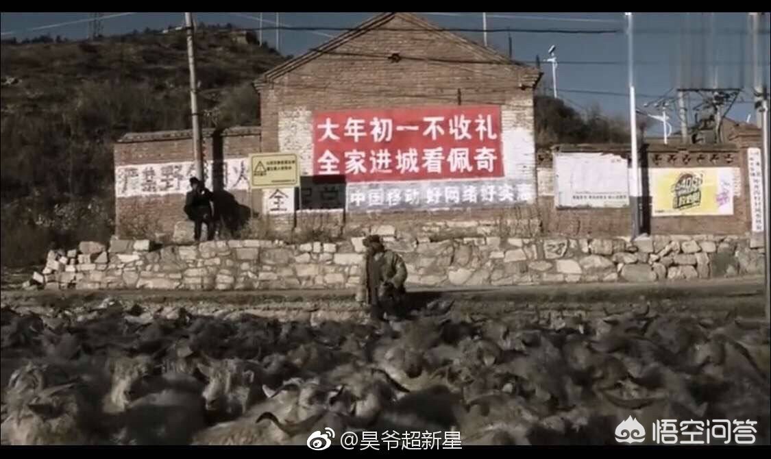挖掘机视频大全1-3岁动画图片高清挖掘机-英雄联盟玩家票选最美英雄，阿狸屈居第二，第一名以“胸”取胜，如何评价？