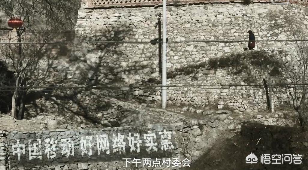 挖掘机视频大全1-3岁动画图片高清挖掘机-英雄联盟玩家票选最美英雄，阿狸屈居第二，第一名以“胸”取胜，如何评价？