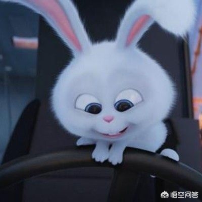 客机滑行时与车相撞-飞机滑行是什么意思？