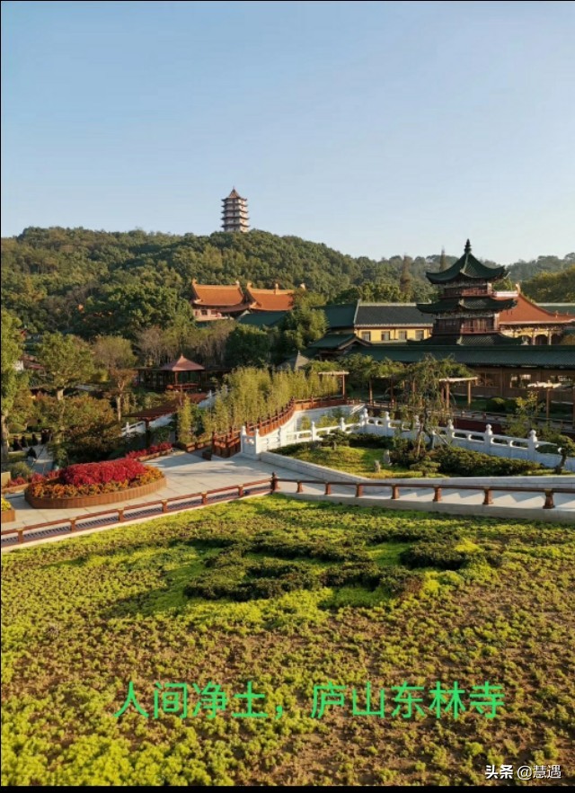 受伤僧人被赶离寺庙-五台山寺庙里有女僧人吗?寺庙里和尚女僧人能共处一寺吗？