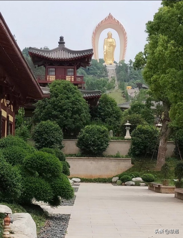 受伤僧人被赶离寺庙-五台山寺庙里有女僧人吗?寺庙里和尚女僧人能共处一寺吗？