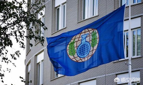 法新社出图-法新社和俄罗斯媒体双双重提叙利亚化武调查结果意欲何为？