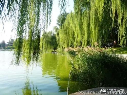 无人化作战时代到来-全国各地至今为什么，没有无人化企业？