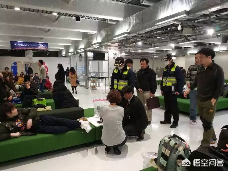 一月2次袭击中国游客-日本即将受到台风袭击，那么日本人会不会救助在日本的中国游客？