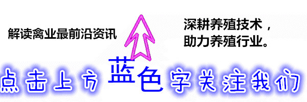 手机智能化高端化-从最早打电话、发短信，到手机智能化后，开始上QQ再到微信，最后演变到小视频，手机的演变之路究竟有多长？