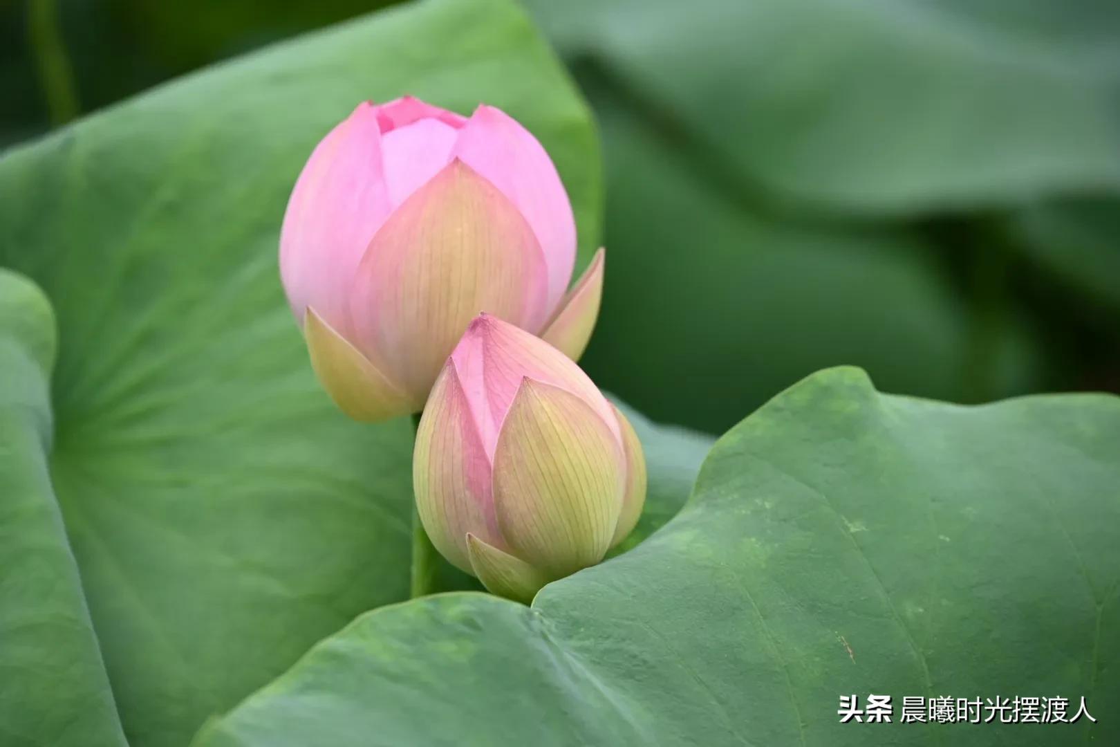 婚姻登记中心进复旦-女儿男朋友复旦大学毕业，但来自农村没车没房，我该同意他们吗？