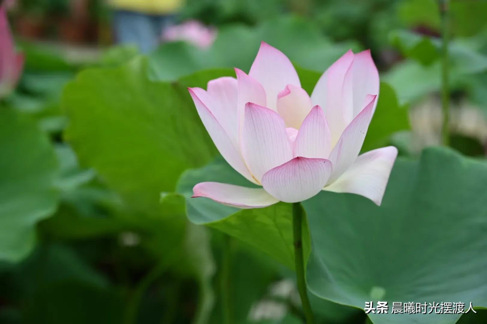 婚姻登记中心进复旦-女儿男朋友复旦大学毕业，但来自农村没车没房，我该同意他们吗？
