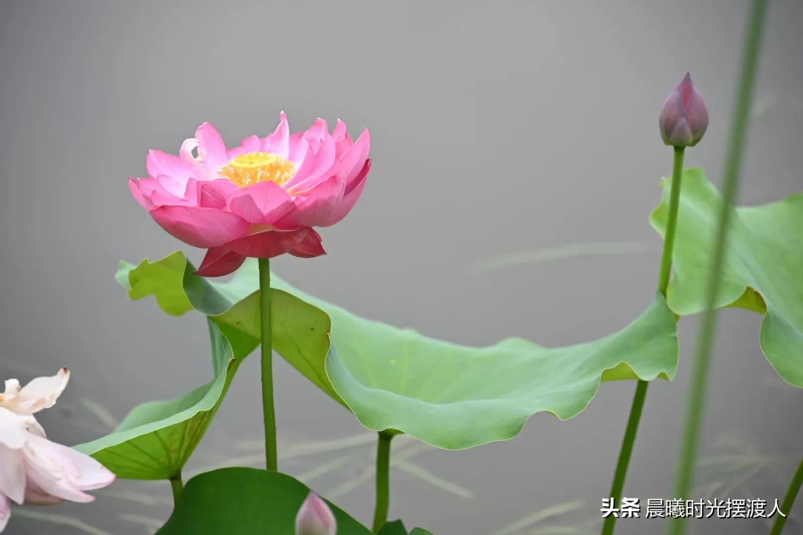 婚姻登记中心进复旦-女儿男朋友复旦大学毕业，但来自农村没车没房，我该同意他们吗？