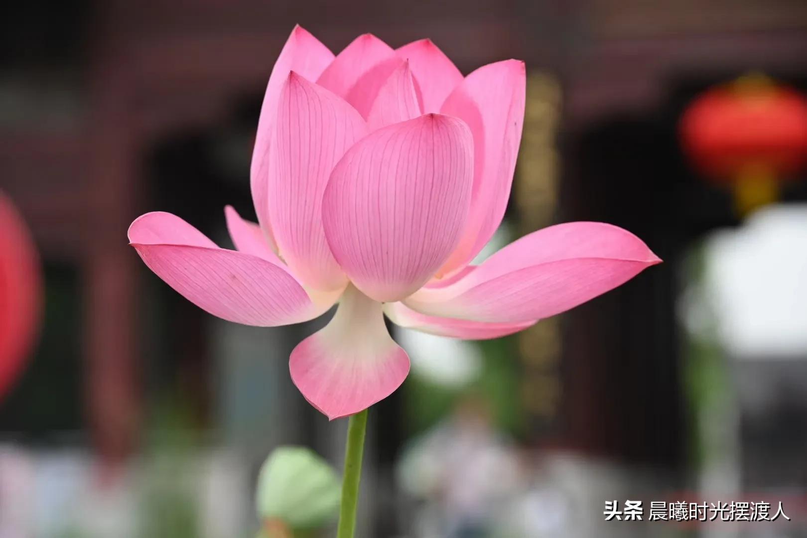 婚姻登记中心进复旦-女儿男朋友复旦大学毕业，但来自农村没车没房，我该同意他们吗？