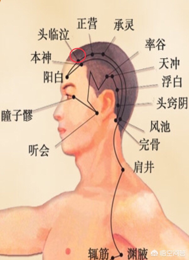 下班高峰提前到中午-别人说早到中午了怎么回复？
