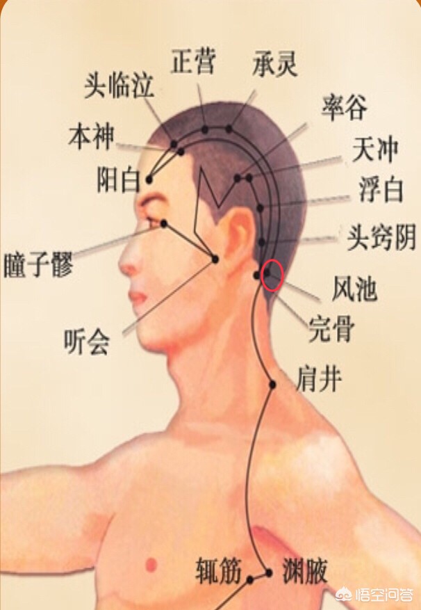 下班高峰提前到中午-别人说早到中午了怎么回复？