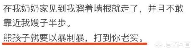 孕妇遭黑熊袭击-“我想看看她会不会流产”熊孩子猛推孕妇，后遭孕妇小姑子暴打，这事你怎么看？