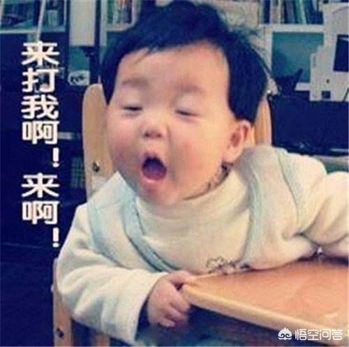 孕妇遭黑熊袭击-“我想看看她会不会流产”熊孩子猛推孕妇，后遭孕妇小姑子暴打，这事你怎么看？