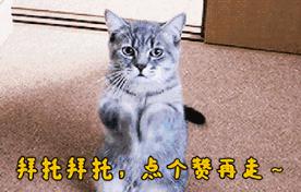 打人被退伍军人飞踹-哪些原因造成董方卓三十岁退役，无球可踢已经沦落到参加长沙业余联赛的窘境？